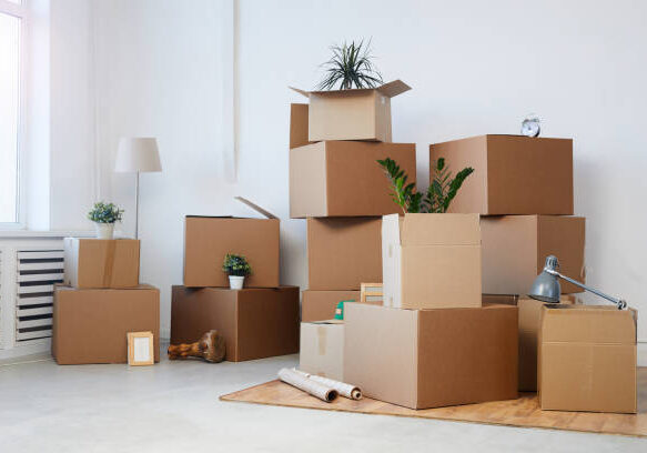 Minimal background image of cardboard boxes stacked in empty room with plants and personal belongings inside, moving or relocation concept, copy space